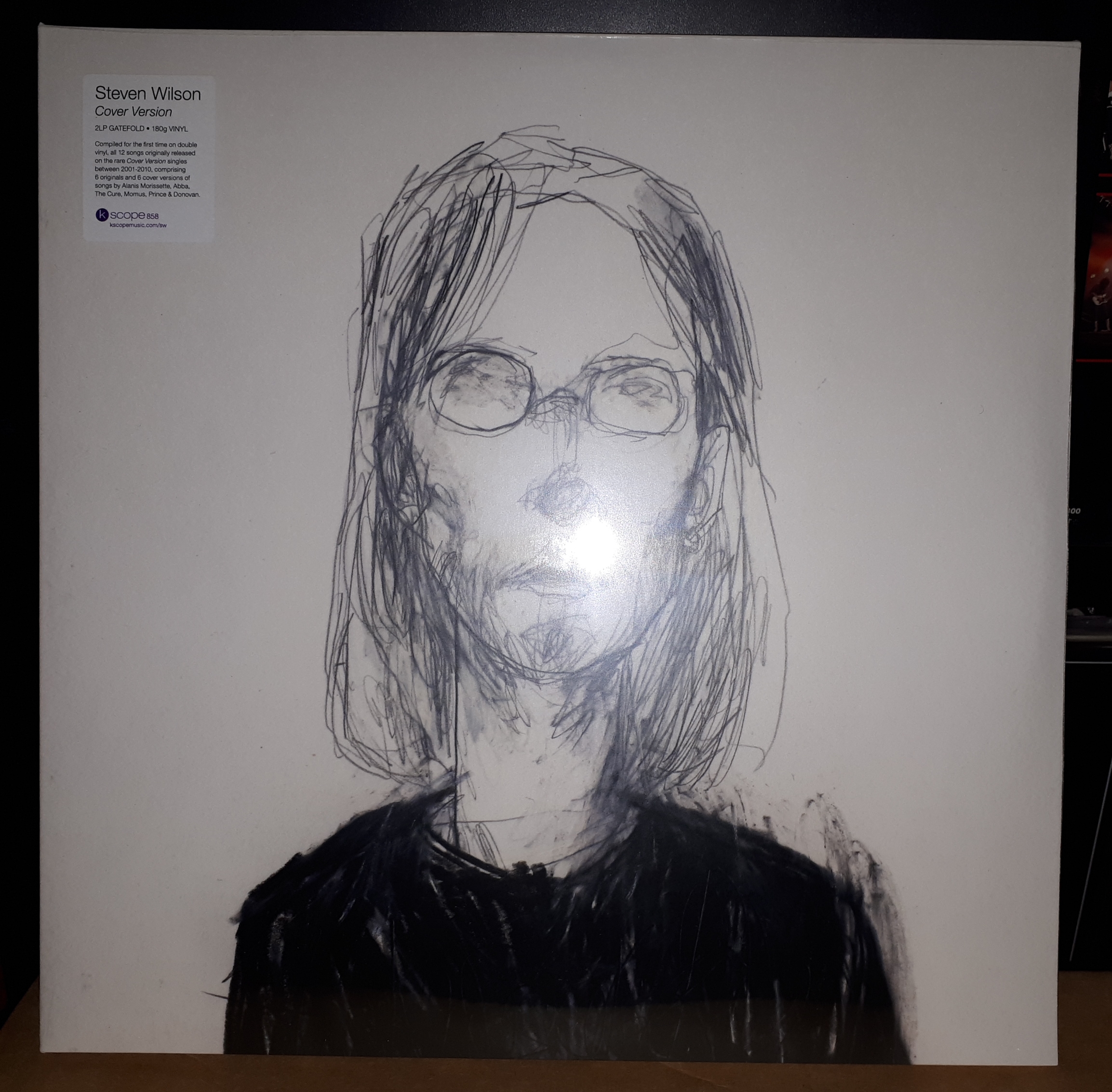 Steven Wilson - Cover version